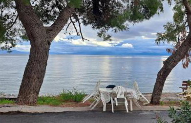 Yard of Epicurus - Η Αυλή του Επίκουρου - Foto 69