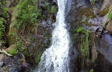 Casa O Arco Alojamento Local - Foto 16