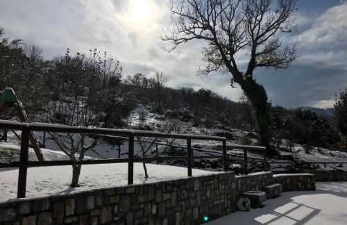 Agriturismo Terra Verde - Foto 19