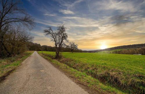 Ferienwohnung Kleinmünster - Foto 10