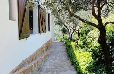 Villa Jardines de Guara - Foto 20