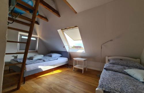 Haus Sonnenlicht. Idylle am Ratzeburger See! - Foto 27