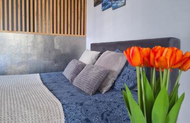 Apartament Górska Szarotka - Foto 1