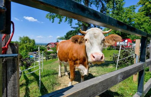 Beautiful Home In Seketin With Sauna - Foto 22