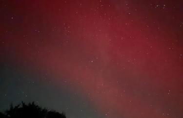 The Bw thyn - Ceredigion - Photo 6