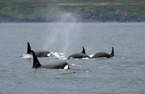 Craiglea Lodge & Barn - Foto 46