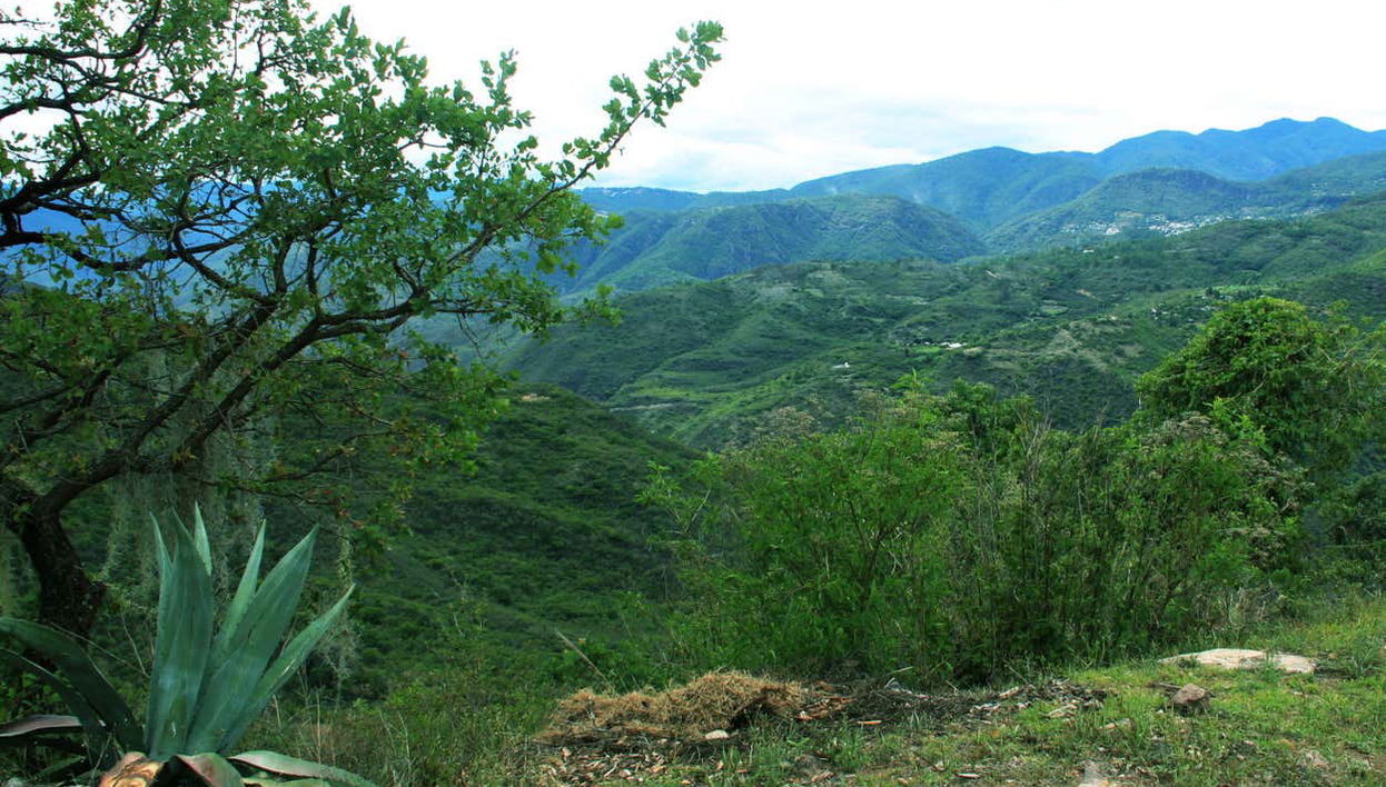 Hiking in the Sierra Norte in Oaxaca - Foto 1