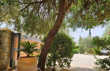 Orestis' Family House - Foto 11