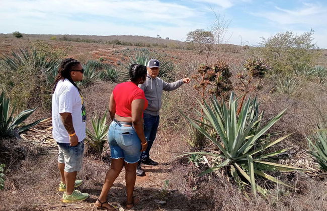 Visita del Rancho Mr. Lionso + Degustazione di mescal - Foto 2