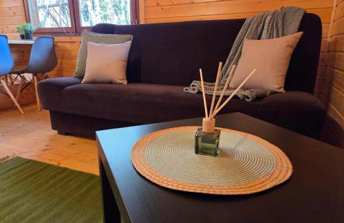 Domki Letniskowe nad Jeziorem Leśniańskim - Foto 27