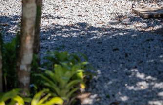 Suítes Casa Kamayurá - Foto 32