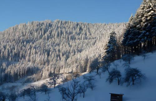 Holderstanzenhof - Foto 28