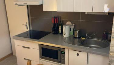Cosy 2 pièces proche Châtel - Foto 5, stove, dishwasher, toaster, minibar