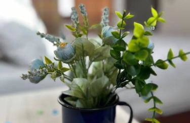 Casa Pouso dos Colibris em Paraty - Photo 8