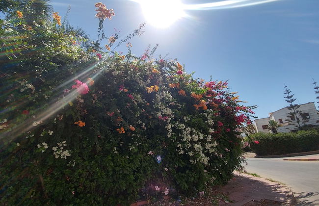 Artistica Suite - La Siesta - Foto 40