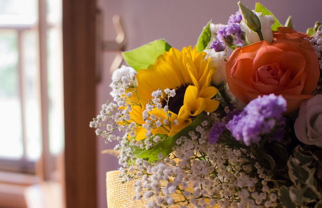 Agriturismo Ca' de' Gatti - Photo 64