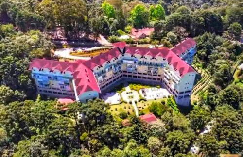 Canto araucarias - Foto 13