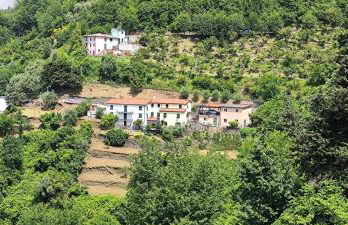 Casa Nonna Maria - Val Fontanabuona - Foto 8
