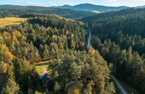 Smerekowiec Domek w lesie - Beskid Niski - Foto 53