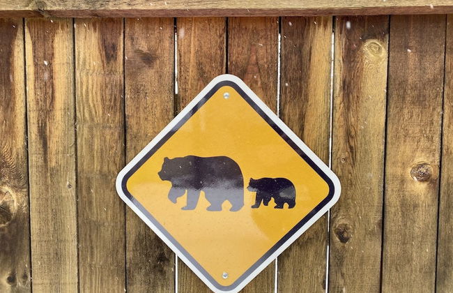 The Beautiful Bear’s Den! Walk to Old Town & CSU! - Foto 17