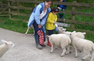 Fentrigan Manor Farm & Holiday Cottages - Foto 30