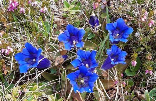 Balcone sul Civetta - Foto 52