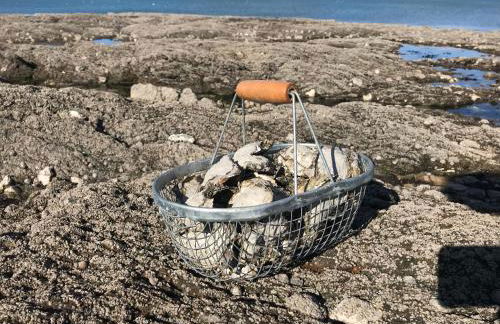 Maison de pêcheurs à 50 mètres de la mer - Foto 20