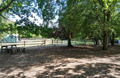 Little Greenwood Shepherd Hut - Sleeps 2 - Foto 9