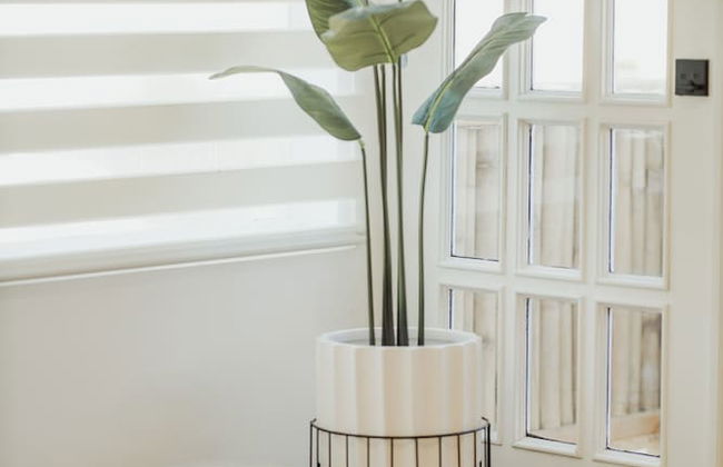 Blvd Sunset... a spot to relax - Foto 18