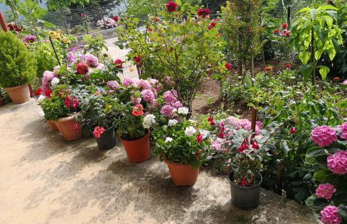 ΚΑΛΟΣΚΟΠΗ Luxury House - Foto 32