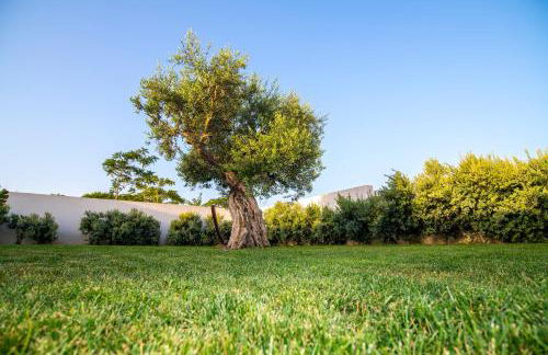 Giardini sul Mare - Mazara del Vallo - Foto 49