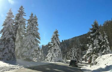 Elati Mansion - Foto 1