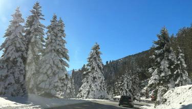 Elati Mansion - Foto 1