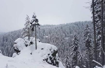 Bungalow Schwarzatalblick in Bad Blankenburg Ortsteil Böhlscheiben - Foto 15