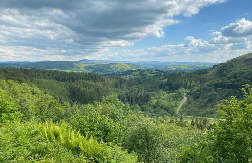 Bronfelin & Troed-y-rhiw Holiday Cottages - Foto 72