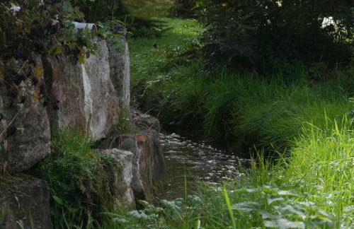 Ferienwohnungen Knodel - Foto 3