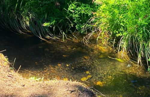 RV11 XLR - 27' Family Toy Hauler - Sleeps 6 - Foto 23