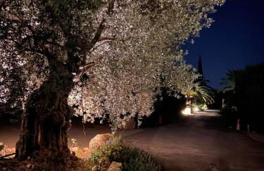 Son Jordi nou, beautiful villa near Alaro big swimming pool, BBQ mountain views 12people - Foto 23