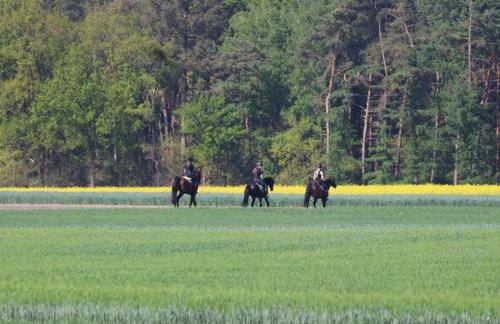 Ferienhof von Hammel - Foto 6