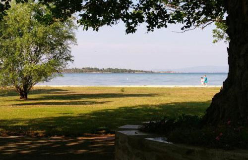 Bright, Beachfront Apartment with free parking and garden - Photo 15