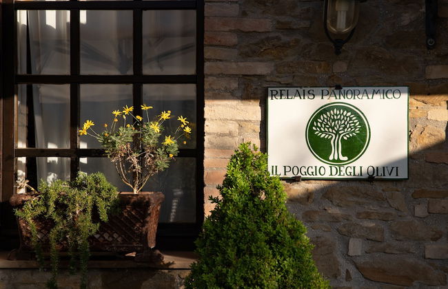 Agriturismo Poggio Degli Olivi - Guest House - Foto 4