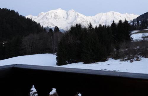 Sallanches 3101 Route de Nant Cruy immeuble le Grand R - Foto 10