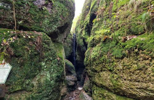 Hof Eckens - Ferienhaushaus Marie in Wildeck Bosserode - Foto 12