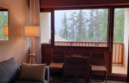 STUDIO CENTRE ET PIED DES PISTES - Foto 3