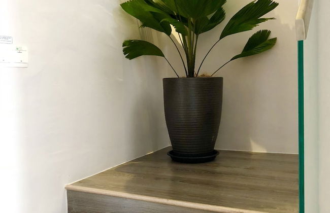 Minimalist Duplex at Sunway & PJ - Photo 9