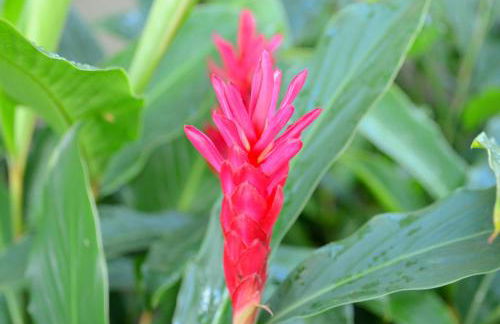 Residencial Portinari LTDA - Foto 67