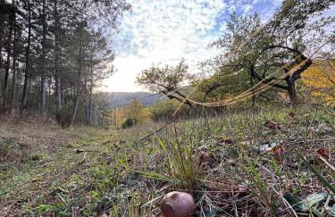 La Guijarroseña , Rio Madera - Foto 56