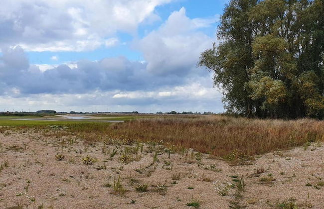 Villa in Nijmegen With VIP Amenities - Foto 21