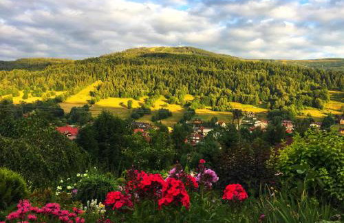 Willa Wierchy - Foto 13