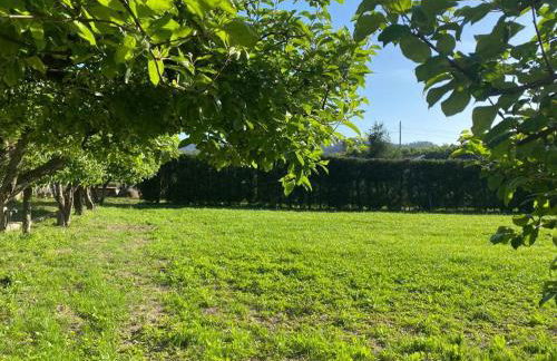 Casa do Muro Alto - Foto 6